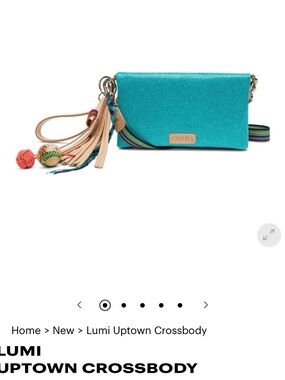 Consuela (Lumi) Turquoise Glitter Crossbody with Multicolor Woven Strap